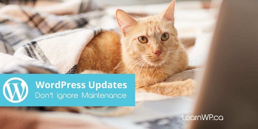 WordPress Updates Don't Ignore Maintenance