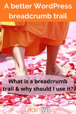 A breadcrumb trail helps users know where they are in your website in relation to other content