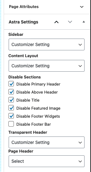 screenshot of Astra Settings in Page Right Sidebar